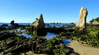 海岸舒適旅館 - 露台