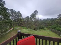 Beautiful & Comfy CABIN Retreat with abundant wildlife, WIFI and AC