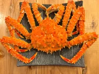 Powder Snow - maisons de vacances