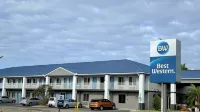 Best Western of Clewiston - Uima-altaat