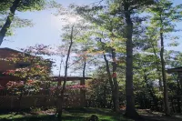 The Cardinal log cabin. Wrap around deck, firepit. Next to Pipestem resort park. - プール