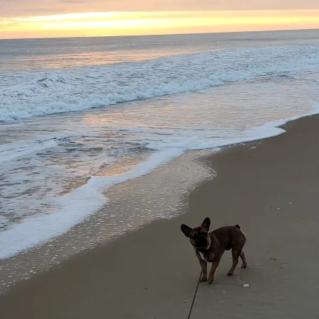 High-End OBX Oceanfront Condo - Corner 2 BR- Breathtaking!
