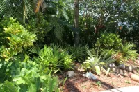 Tropical dream heated pool home - 4-Sterne