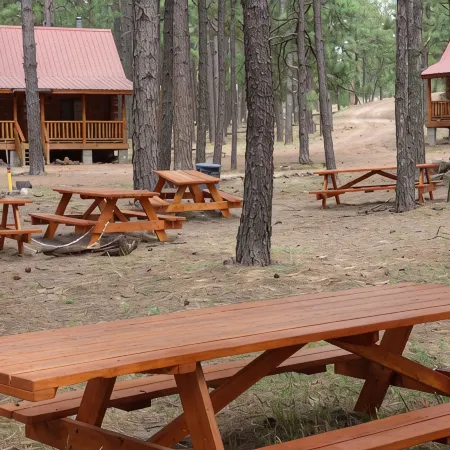 Circle Pine Ranch - "The Real Log Cabin Experience"