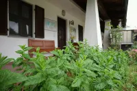 B&b Ponte Pietra - Homestays