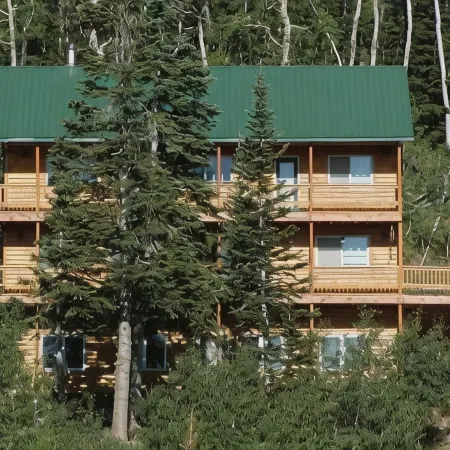 Ski in/Ski Out Cabin. 5 Bedrooms. 4 King Beds. Bunk Room. Fast WiFi. Sleeps 25+