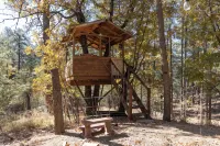 CozyCreekCabin-Treehouse-Large Deck-Mountain Home - شاليه
