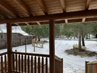 Cozy Log Cabin with private access to the Trinity River! - 3-Star