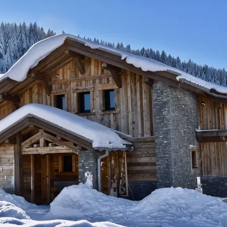 Chalet Gérardmer Lac Jacuzzi Sauna/Hammam.