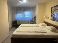 Traube Hotel Oeffingen - Lemmikkieläimet sallittu