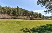 The Meadow Inn - Secluded Central Black Hills Cabin!  WiFi! - Chalets