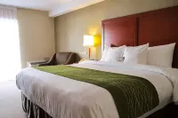 Comfort Inn Dartmouth - Motels