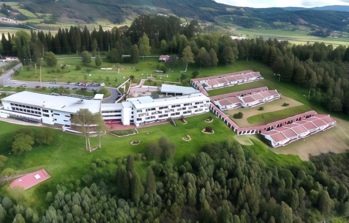 D'Acosta Hotel Sochagota