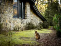 Discovery Parks - Cradle Mountain Hotels in Крадл Маунтин