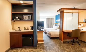 SpringHill Suites San Antonio Alamo Plaza/Convention Center