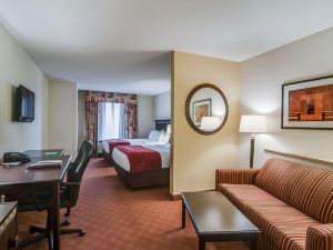 Comfort Suites Salem-Roanoke I-81