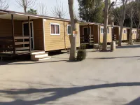 Oasis Country Park Hotels in Xativa