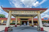 Hotel Pacuare Hotels in 