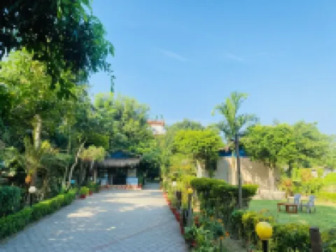 Eco Adventure Resort