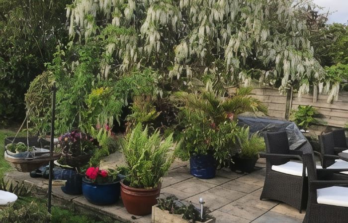 Gwynarth B&B