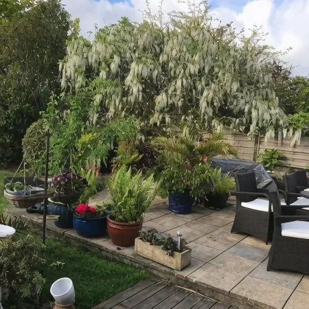 Gwynarth B&B