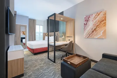 SpringHill Suites Tifton Hotels near Plough Gallery