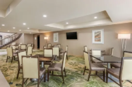 퀄리티 스위트 셔먼