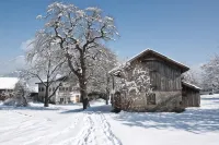 Der Stern - Nachhaltiges Wirtshaus Und Landhotel Seit 1509 Hotels in Rietz