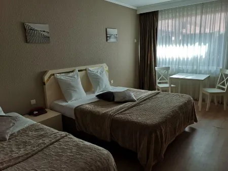 Hôtel la Côte d'Or