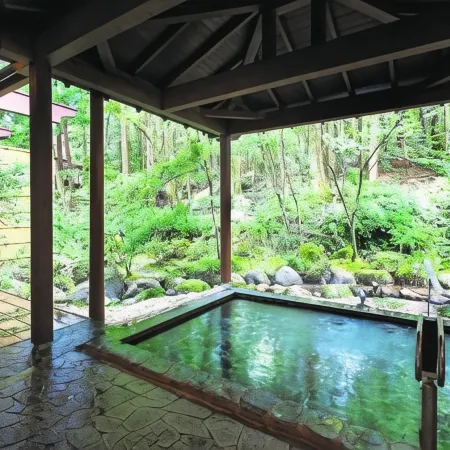 Komagane Kogen Resort Linx