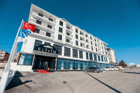 Elifim Resort Hotel Отели в г. Gerede