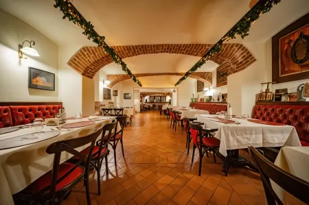 Hotel Iosefin Residence Отели в г. Тимишоара