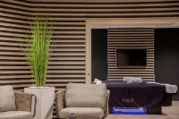 Domaine la Charpinière, the Originals Collection - spa