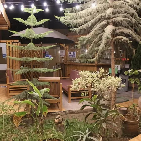 La Casa de Bamboo