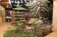 La Casa de Bamboo Hotels near Huacachina Oasis