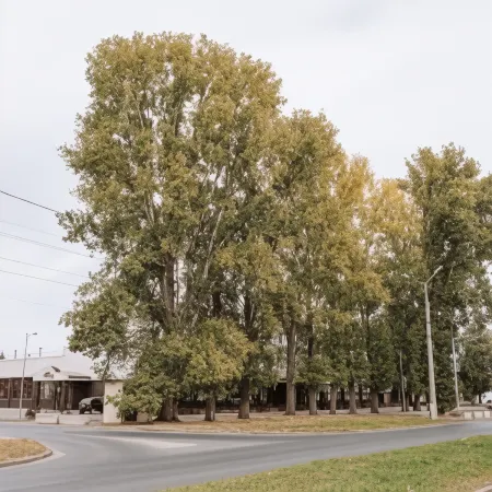 Зодиак Отели рядом с достопримечательностью «Пляж Волна»