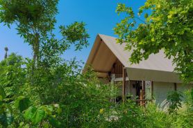 T-Rex Glamping, Dubai Parks and Resorts