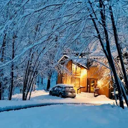 Cozy House with a Lovely Treehouse. 7-Person Hot Tub. Pet Friendly. Hiking. Lake