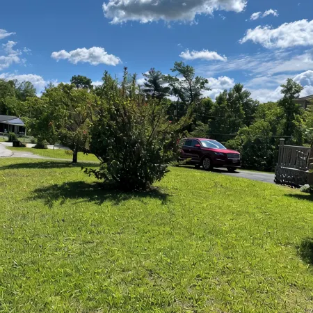 Charming 3-bedroom house with WiFi, AC in Pineville Kentucky