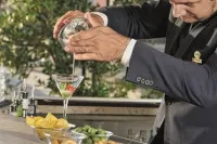Hotel Mecenate Palace Rome - bars