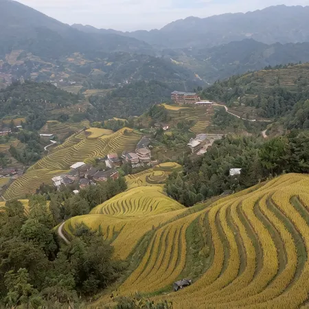Longji Terrace Xinxin Resort Hotel (Qianfy Floor Tianti View Terrace)