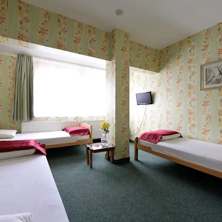Hotel Slodes Отели рядом с достопримечательностью «Парк Кошутняк»
