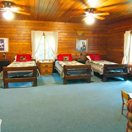 500' Lakeshore, 2 Docks, Sand Beach, Sleeps 10, A/C, Pontoon Boat for Rent