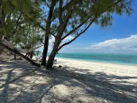 BRAND NEW Beachfront Villa best sandy beach in TCI with pool Fox Tail Palm Villa - Beach