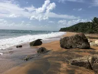 Mi Casita in the Mountains_ 5 Min from the beach!_ Breathtaking View! - Homestays