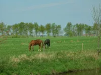 Beautiful fine apartment with garden, meadow, view of water and land