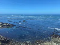 Tranquil Oceanfront Retreat with Breathtaking Views Hotels in Moss Beach