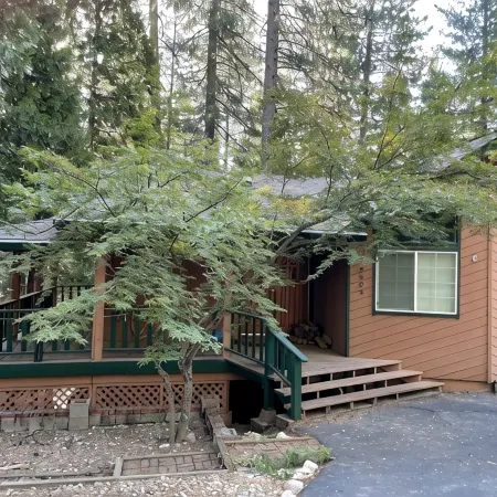 Cozy Cabin in the Woods