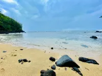 TOTALLY REMODELED Tropical Paradise Studio with A/C & washer/dryer - Wifi