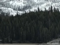 Secluded Cabin at Shaver Lake – Quiet, Private & Family Friendly Hotels in Shaver Lake